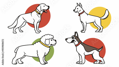 Four Diverse Dog Breeds Standing Together for Pet Care Advertising Veterinary Web Design Happy Companionship