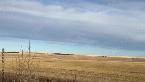 Rural gravel road and open prairie fields filmed while driving through Alberta countryside