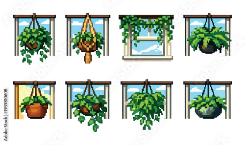 Hanging indoor plants displayed at windows on wooden rods