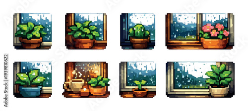 Potted plants arranged on windowsills with rainy window views