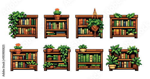 Wooden shelves holding potted plants and books on wall