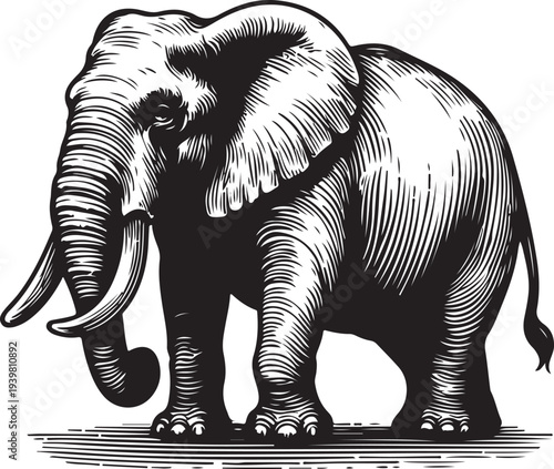  majestic elephant with detailed textures, capturing the grace and strength of this iconic animal sketch engraving generative ai PNG illustration. Scratch board imitation. Black and white