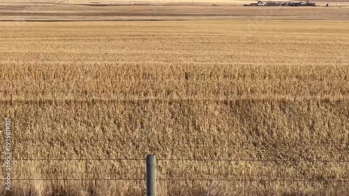 Road trip through open prairie fields and farmland landscape in rural Canadian countryside