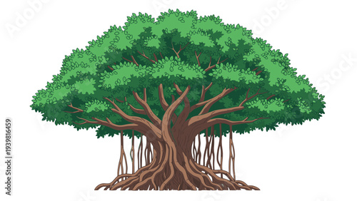 Majestic Banyan Tree with Aerial Roots Vector Illustration, Lush Green Canopy, Natural Beauty, Environmental Concept, Graphic Design Element