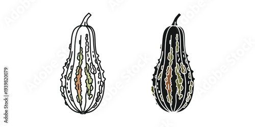 Bitter melons in black and white vector illustration, flat design