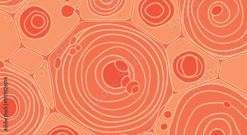 Abstract organic pattern with concentric circles and cell-like shapes in shades of orange and peach