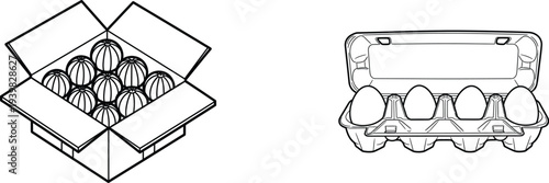 Egg carton packaging illustrations