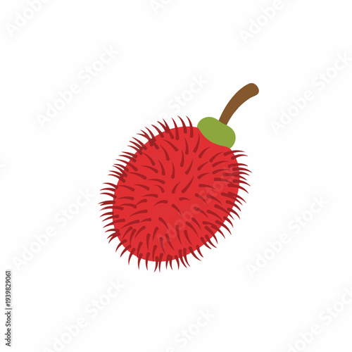 A vibrant, spiky rambutan fruit illustration on a white background, showcasing its unique texture and bright red skin with a green calyx.