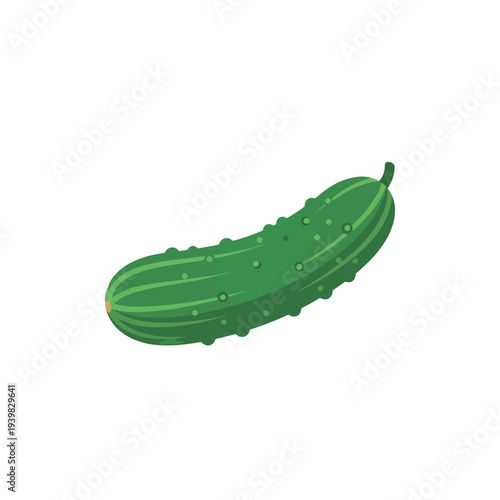 A single green cucumber with raised bumps and striped texture, isolated on a white background. This illustration features vibrant colors and clear detail.