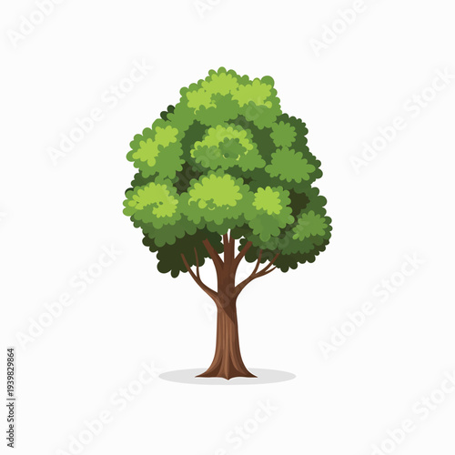 A stylized illustration of a deciduous tree with a brown trunk, branches, and a full, green canopy of leaves, set against a white background.
