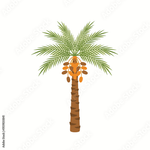 A stylized illustration of a date palm tree with green fronds and ripening brown dates, set against a white background.