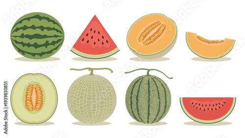 Flat cartoon illustrations of fresh summer melons watermelons, slices, and cantaloupe halves, ideal for healthy food designs