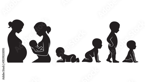 Human life cycle illustration showing pregnancy to childhood stages