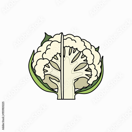 A cut-in-half illustration of a cauliflower, showing its textured florets and stem, surrounded by green leaves.