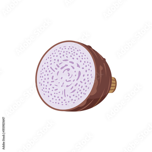 A cartoon illustration of a taro root cross-section on a white background, showing its brown peel and speckled purple interior.