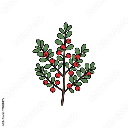 Stylized illustration of a branch adorned with small green leaves and vibrant red berries. Evokes a festive or natural autumn/winter theme.