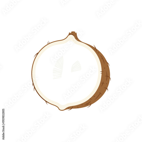 A clean vector illustration of a coconut cut in half, revealing its white edible flesh and brown fibrous outer shell on a white background.