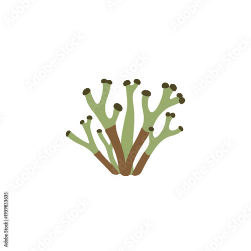 An illustration of a green, branched, coral-like plant or lichen with brown bases and dark tips, depicted in a flat style on a white background.