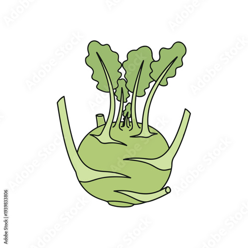 A cartoon-style illustration of a light green kohlrabi vegetable with a round bulb, several stems, and small leaves at the top, against a white background.