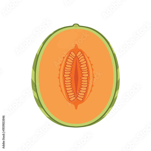 Flat design illustration of a halved melon with orange flesh, visible seeds, and a green striped rind, isolated on a white background.
