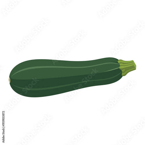 A single, whole, dark green zucchini with a slight taper on both ends is depicted horizontally against a clean white background.