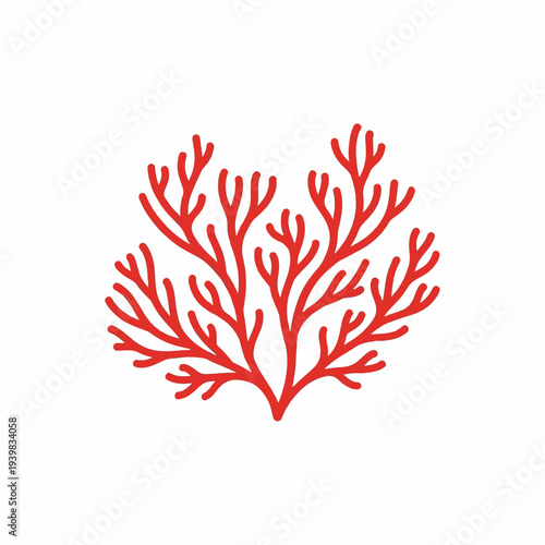 Red coral, a delicate underwater organism, branches out like a tree on a white background, symbolizing marine life and natural beauty.