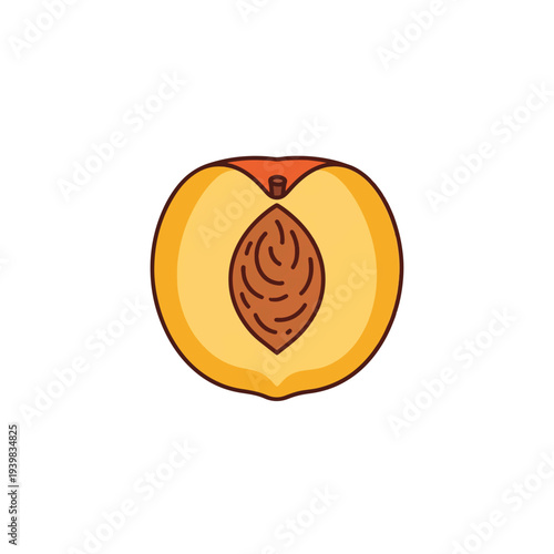 A cartoon-style illustration of a peach cut in half, revealing its large, textured pit and vibrant orange flesh against a white background.