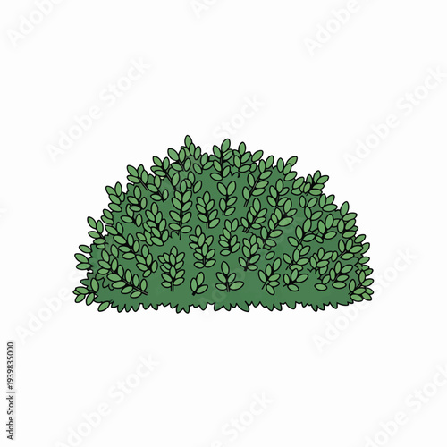 A stylized, cartoonish green bush with many small, dense leaves, isolated on a white background.