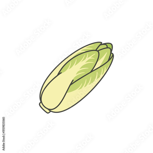 A cartoon illustration of a single Belgian endive, a pale green and yellow leafy vegetable, isolated on a white background.