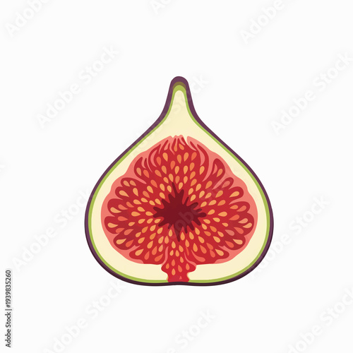 A stylized illustration of a halved fig with vibrant red flesh and tiny seeds, set against a white background.