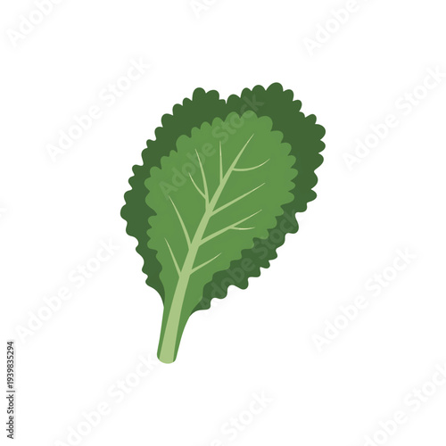 A stylized illustration of a single kale leaf, featuring vibrant green hues and detailed veins, against a clean white background.