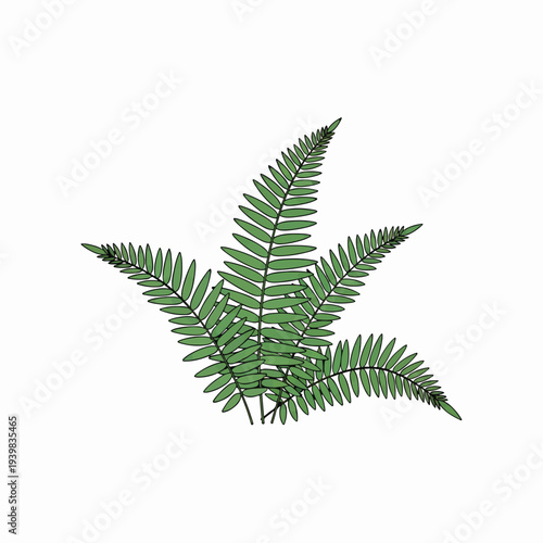 A stylized illustration of a green fern with multiple fronds fanning out from a central stem against a white background.