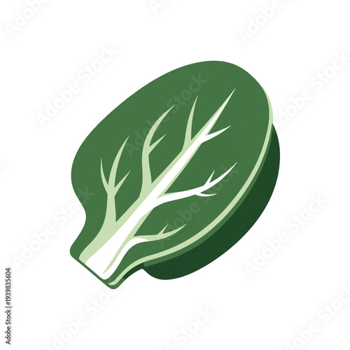 A simple, stylized illustration of a fresh green spinach leaf on a white background.