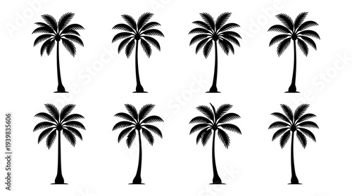 Collection of black palm tree silhouettes on white background.