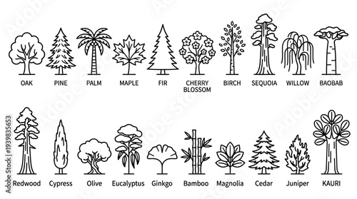 Variety of Tree Silhouettes with Labels.
