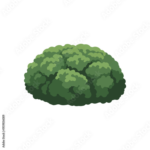 An isolated cartoon illustration of a lush, rounded green bush or shrub with textured leaves, set against a clean white background.