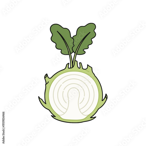 Simple illustration of a kohlrabi cut in half, revealing its white concentric rings and two green leaves on top. The bulb is light green with a black outline.