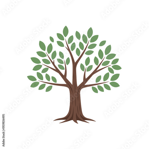 A stylized illustration of a deciduous tree with a brown trunk, branching out to numerous green leaves. It stands centered on a plain white background, embodying nature and growth.