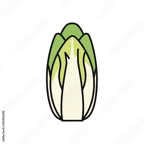 A simple, flat illustration depicts a single endive or chicory head with light green outer leaves and pale inner leaves, outlined in black, against a white background.