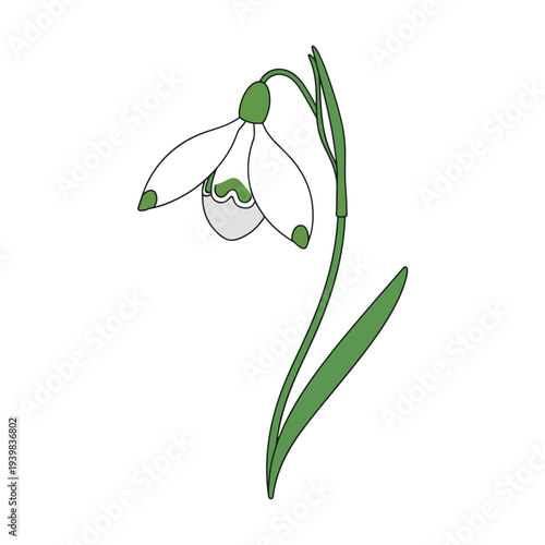 A simple, flat illustration of a single snowdrop flower featuring white petals with green accents, a green stem, and a leaf, set against a plain white background.