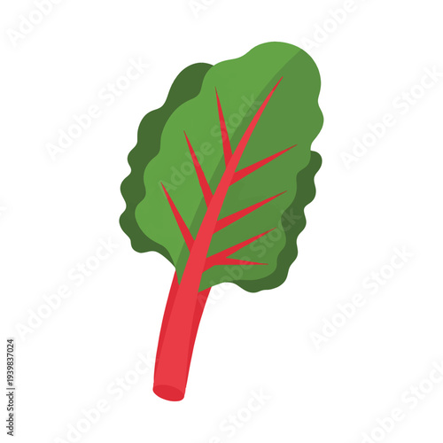 A stylized illustration of a beet green with a thick red stem and vibrant green leaves, set against a white background.