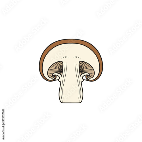 A cross-section illustration of a brown mushroom, revealing its cap, gills, and stem against a white background.