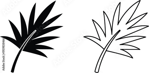 Palm leaves black and white Vector