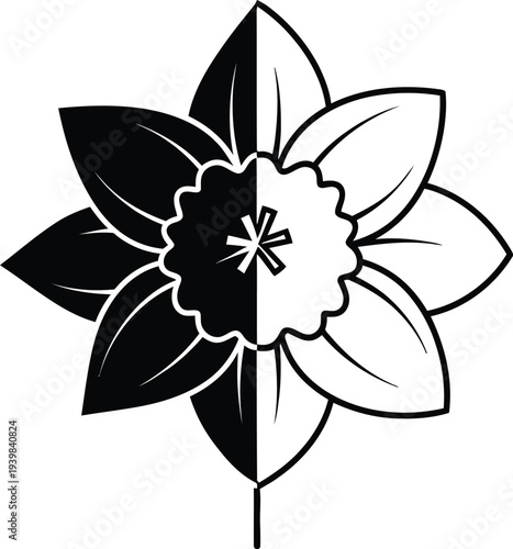 Black and white daffodil flower illustration isolated on transparent background, Vector