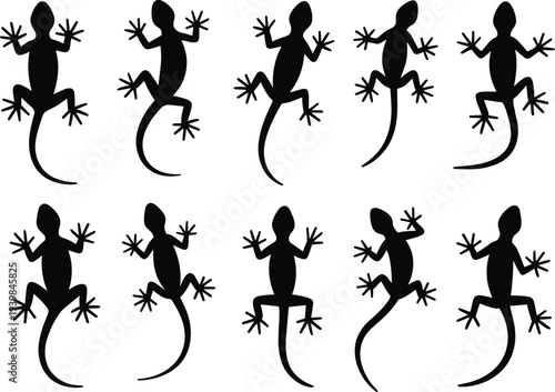 Silhouette collection of geckos and lizards climbing on wall, vector reptile illustration set, black animal shapes isolated on white background for design