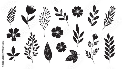 Collection of decorative floral and leaf elements vector illustration bundle
