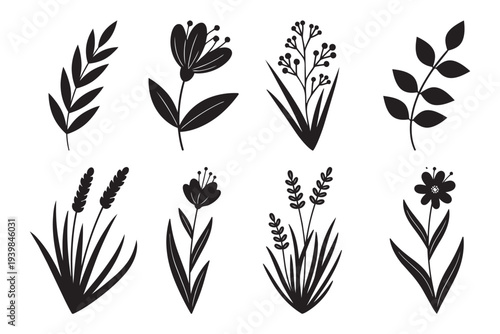 Botanical illustration vector set of diverse plants and flowers