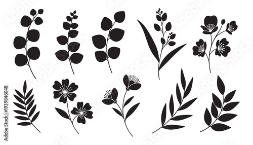 Elegant floral branches and flower elements vector illustration