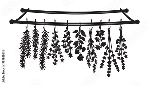 Drying medicinal herbs vector illustration silhouette bunches hanging on rack for herbal medicine
