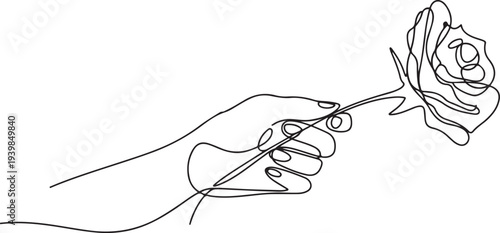 rose flower Continuous line drawing of a hand holding. Beautiful rose flower.one line vector icon illustration